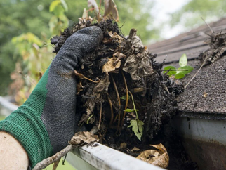 Winter Gutter Cleaning